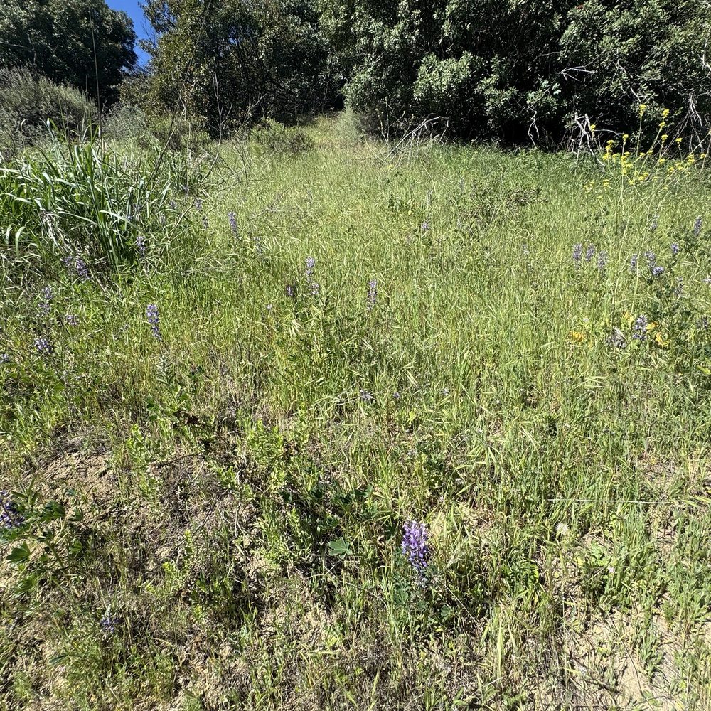 Towsley Canyon Park - Parks Near Me - Newhall, California Towsley Canyon Park - Parks Near Me - Newhall, California