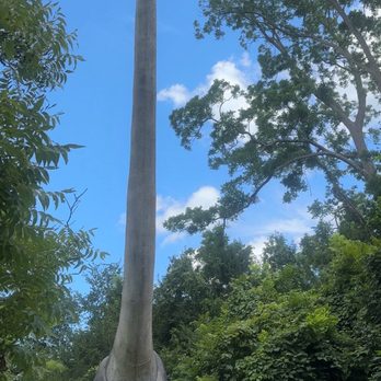 Prehistoric Park - Dinosaurs - Amusement Parks Near Me - Henderson, Louisiana