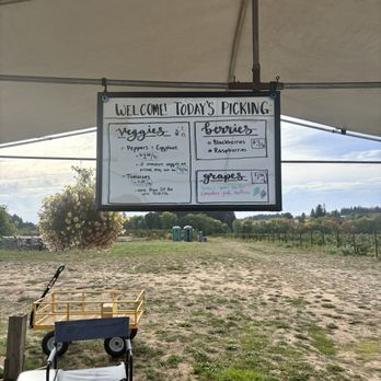 West Union Gardens - Prices - Fruits & Veggies Near Me - Hillsboro, Oregon West Union Gardens - Prices - Fruits & Veggies Near Me - Hillsboro, Oregon