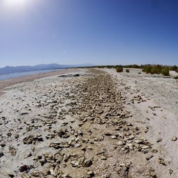 Salton Sea - This wasn't in the State Recreational Area but further north on Grapefruit Blvd. - Boating Near Me - Mecca, California Salton Sea - This wasn't in the State Recreational Area but further north on Grapefruit Blvd. - Boating Near Me - Mecca, California
