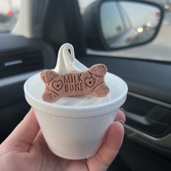 Small dog sundae aka "pup cup"