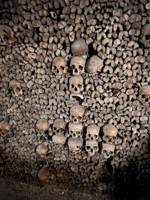 Catacombs of Paris by null
