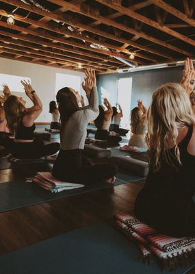 Wild Heart Yoga by null