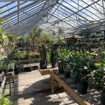 Peckham's Greenhouse - Nurseries & Gardening Near Me - Little Compton, Rhode Island Peckham's Greenhouse - Nurseries & Gardening Near Me - Little Compton, Rhode Island