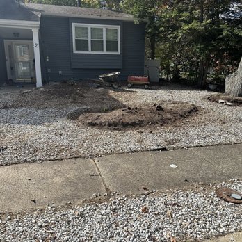 Brandts Tree service - Tree Services Near Me Brandts Tree service - Tree Services Near Me