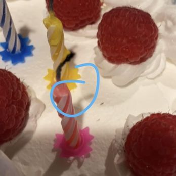 Michelle's - You can see 2 insects in this picture. - Bakeries Near Me - Redlands, California