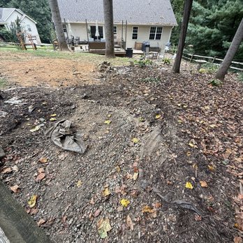 Ortiz Tree Service - Damage to landscaped area. - Tree Services Near Me - Taylors, South Carolina Ortiz Tree Service - Damage to landscaped area. - Tree Services Near Me - Taylors, South Carolina