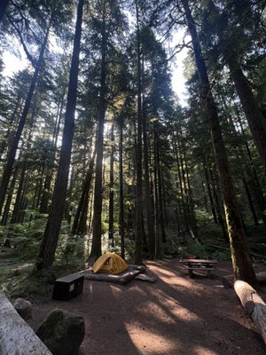 Ohanapecosh Campground by null