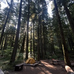 Ohanapecosh Campground