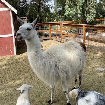 Greenspot Farm - Farmers Market Near Me - Mentone, California