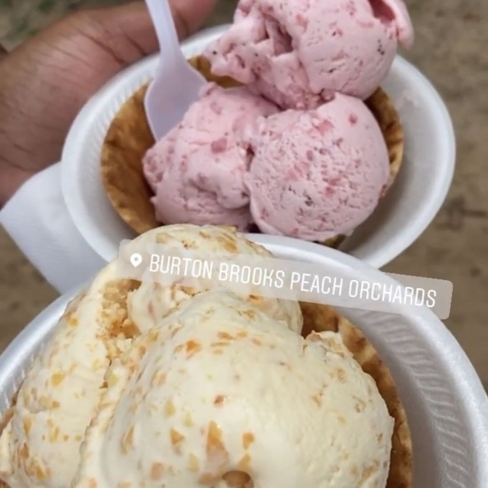 Burton Brooks Orchard - Peach and strawberry ice cream - Ice Cream & Frozen Yogurt Near Me - Barney, Georgia Burton Brooks Orchard - Peach and strawberry ice cream - Ice Cream & Frozen Yogurt Near Me - Barney, Georgia