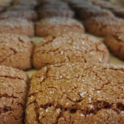 True Grain Bread - Tray of fresh Red Fife Ginger Cookies, rich with molasses and fresh ginger root. True Grain's most popular cookie.
