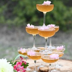 Hill Country Cider House - Cider is a crowd pleaser and can complete any occasion.