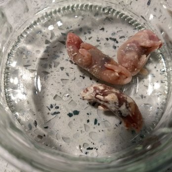 Little Amazon Fish & Pets - Sketchy pinkies I bought. - Pet Stores Near Me - Seattle, Washington