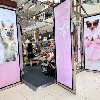 Aventura Pups - Pet Stores Near Me - Aventura, Florida Aventura Pups - Pet Stores Near Me - Aventura, Florida