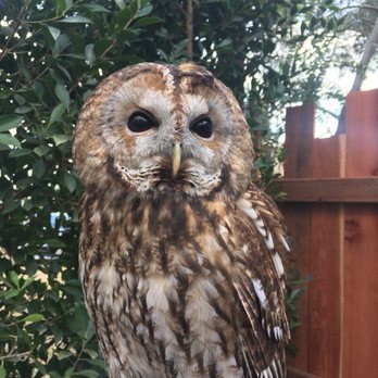 Wildlife Learning Center - Zoos Near Me - Sylmar, California