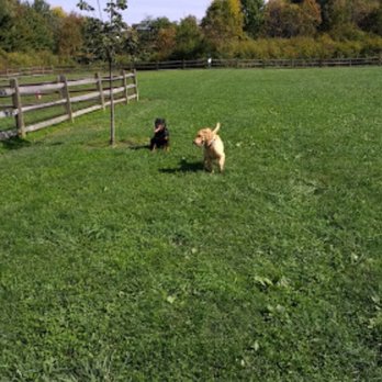 Tails And Trails Dog Park - Dog Parks Near Me - Aurora, Ohio Tails And Trails Dog Park - Dog Parks Near Me - Aurora, Ohio