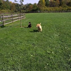 Tails And Trails Dog Park