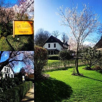 Huize Alberic by null