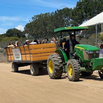 The Flower Fields - Hayrides available - Venues & Event Spaces Near Me - Carlsbad, California The Flower Fields - Hayrides available - Venues & Event Spaces Near Me - Carlsbad, California