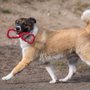 Photo of Draper City Dog Park