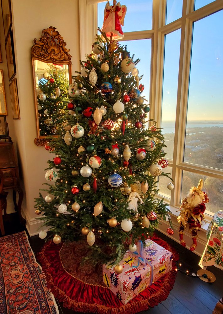 IVY’S CHRISTMAS TREES Updated September 2024 188 Photos & 126