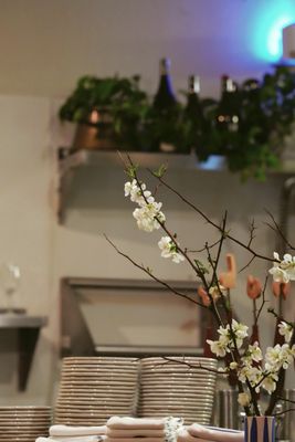 Snail Bar by null