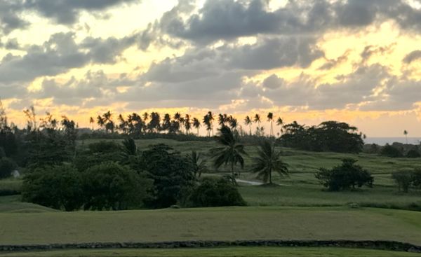 Jota at Royal Isabela by null