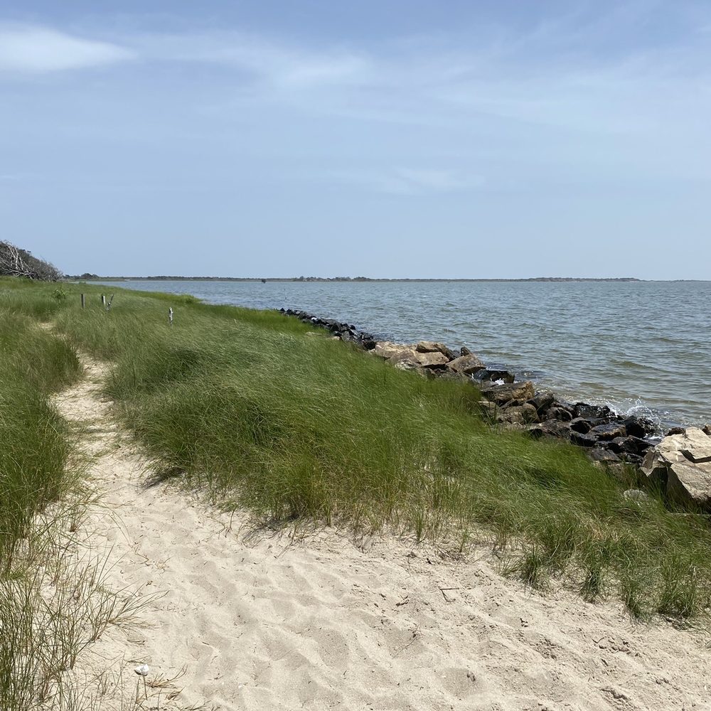 Springer's Point Preserve - Hiking Near Me - Ocracoke, North Carolina Springer's Point Preserve - Hiking Near Me - Ocracoke, North Carolina
