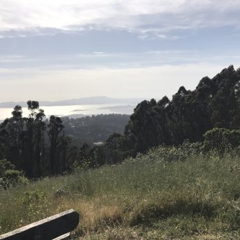 Tilden Regional Park - Beautiful views of the Bay - Parks Near Me - Berkeley, California Tilden Regional Park - Beautiful views of the Bay - Parks Near Me - Berkeley, California