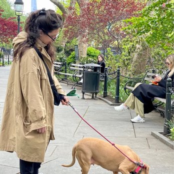 Abingdon Square - Doggo - Parks Near Me - New York, New York Abingdon Square - Doggo - Parks Near Me - New York, New York