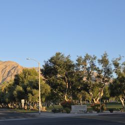 Park