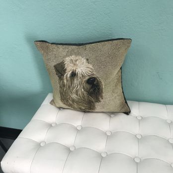 Super Paws Dog Grooming - More  decor - Pet Groomers Near Me - Corona, California
