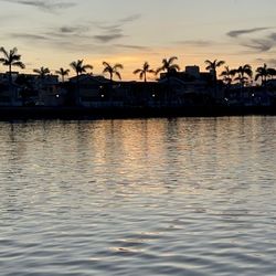 Glass Bottom Tours - Scenery