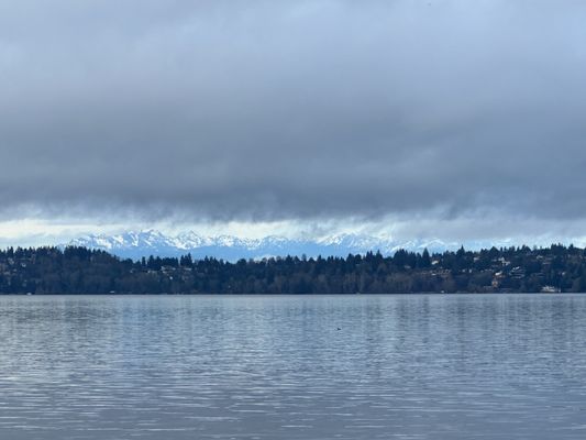 The Woodmark Hotel and Still Spa on Lake Washington by null
