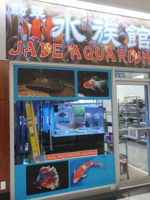 New Kennedy Square by null