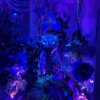 Meow Wolf - Venues & Event Spaces Near Me - Denver, Colorado