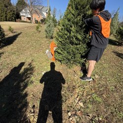 Thompson's Tree Farm
