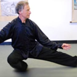 White Crane Tai-Chi