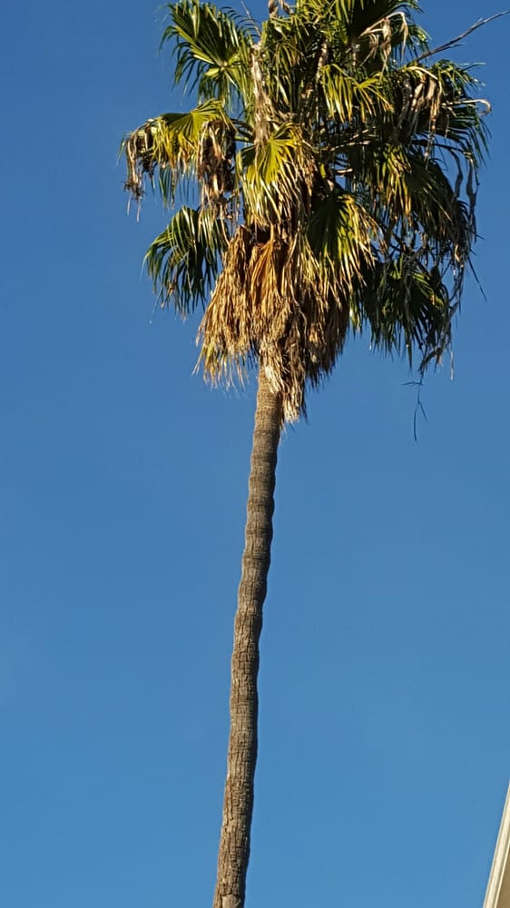 JENKINS PROPERTY MANAGEMENT Updated August 2024 30 Photos & 99