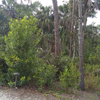 Naples Botanical Garden - Botanical Gardens Near Me - Naples, Florida