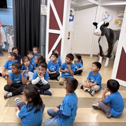 Magnolia Progressive Montessori