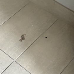 Holiday Inn Express & Suites Lancaster - Mount Joy - Housekeeping took trash, knocked milkshake cup on floor, that was in trash and didn't wipe it up.
