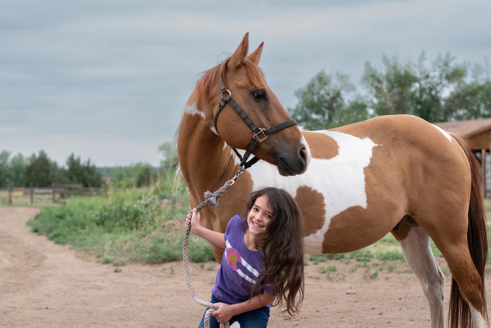 Sagebrush Stables - equestrian in Littleton, CO