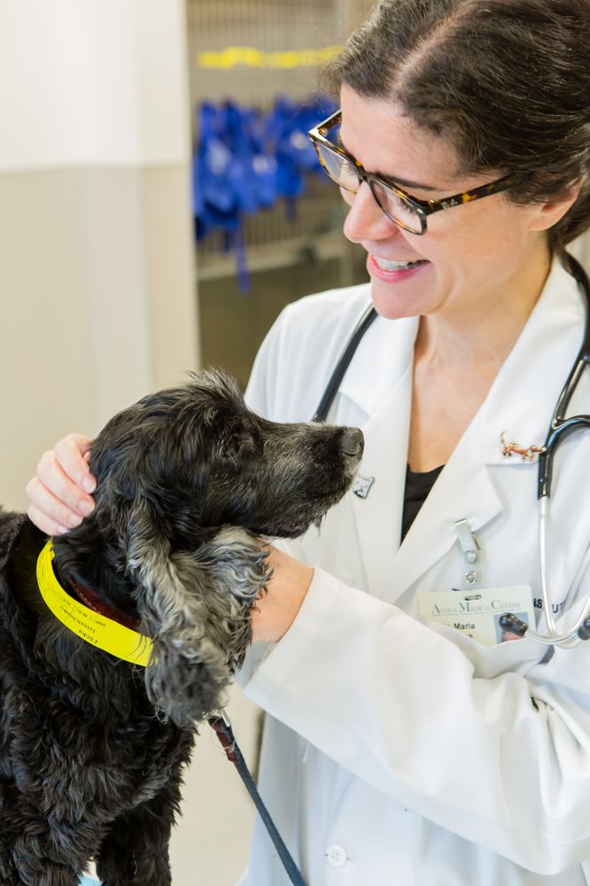 THE ANIMAL MEDICAL CENTER 131 Photos & 498 Reviews 510 E 62nd St