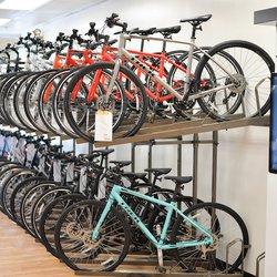 David's World Cycle