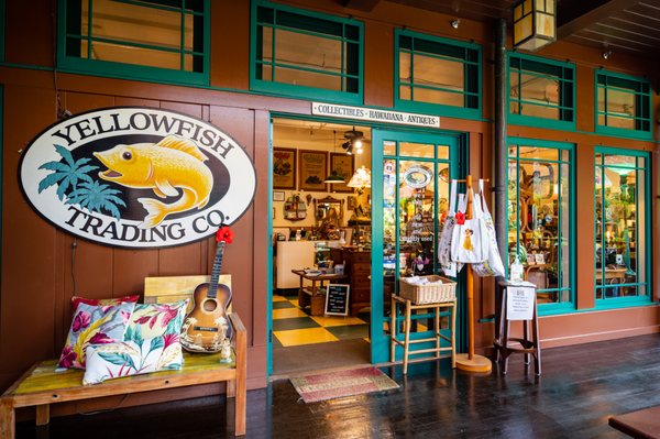 Yellowfish Trading Co. by null