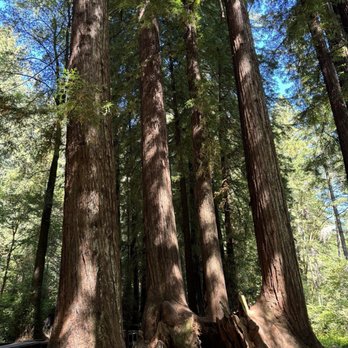 Samuel P Taylor State Park - Parks Near Me - Lagunitas, California
