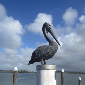 Fawcett Park - Pelican Statue - Playgrounds Near Me - Ballina, NSW