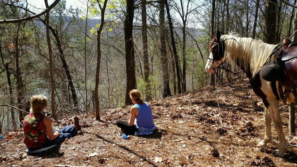 Oak Mountain Riding Stables - equestrian in Pelham, AL
